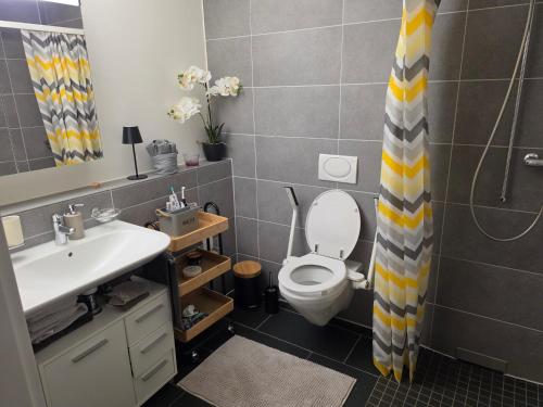 a bathroom with a toilet and a sink and a shower at Sonnige Wohnung in Grenchen