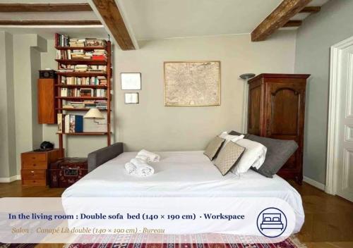 L'Antiquaire - Cosy & Central - by Mon Petit Faré