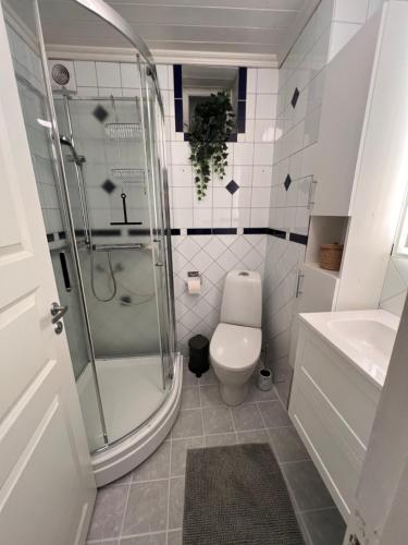 a bathroom with a shower and a toilet and a sink at The Old Bakery in Grimstad