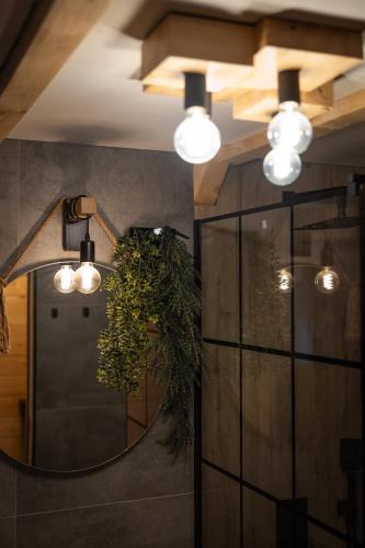 a mirror in a bathroom with lights and a plant at Alpas forest house in Kuršumlija