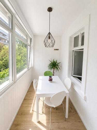 Artsy und Cosy nahe Norvatis Campus in Basel St Johann
