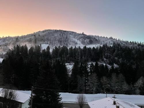 a mountain with trees and snow on it at Le Balcon - La Bresse in La Bresse