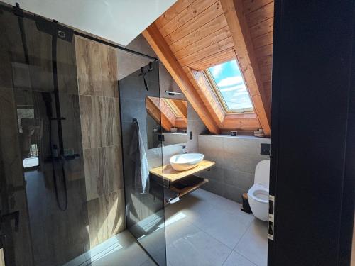 a bathroom with a glass shower and a toilet at Alpine Chalet Krkonose in Prosečné