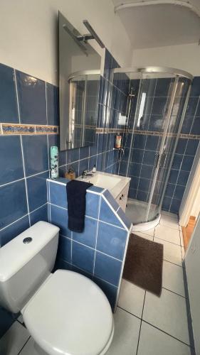 a blue tiled bathroom with a toilet and a sink at Grand T2 calme avec parking privé à Toulouse in Toulouse
