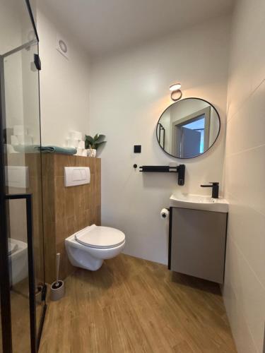 a bathroom with a toilet and a sink and a mirror at Laguna Blue in Grzybowo