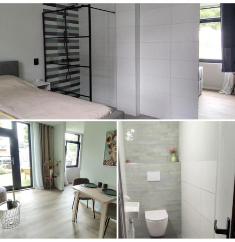a room with a bed and a toilet and a table at Boterbloem Bed en Brood in Hardenberg
