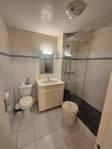 a bathroom with a toilet and a sink and a shower at Joli Studio Vue Sur Mer in Pointe-à-Pitre