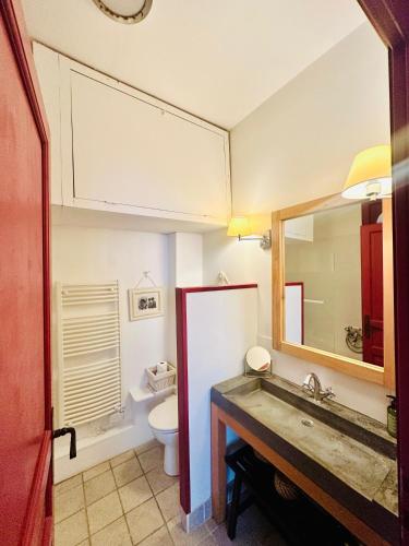 a bathroom with a sink and a toilet and a mirror at Le trente trois in Uzès