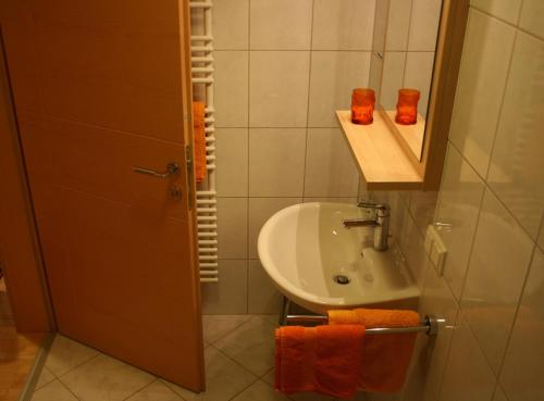 La petite salle de bains est pourvue d'un lavabo et d'une douche. dans l'établissement Gästezimmer Poys, à Auersthal