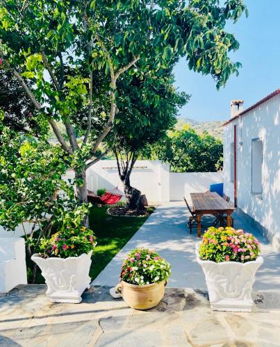 three white vases with flowers in a garden at DomoMea Rooms in Loculi