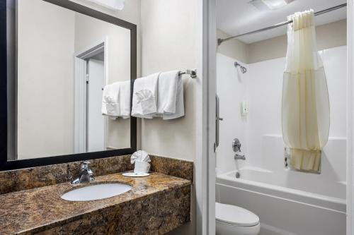 a bathroom with a sink and a toilet and a mirror at Quality Inn & Suites Ridgeland in Ridgeland