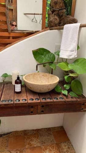 a bathroom with a sink and a plant on a wooden shelf at Villas Boutique Antheia in La Orilla