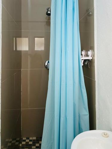 a bathroom with a shower with a blue shower curtain at Airport Lodge Hotel in Kempton Park