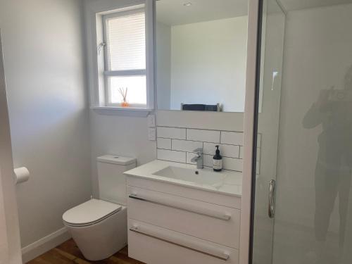 a white bathroom with a toilet and a sink at Dublin No 5 in Martinborough
