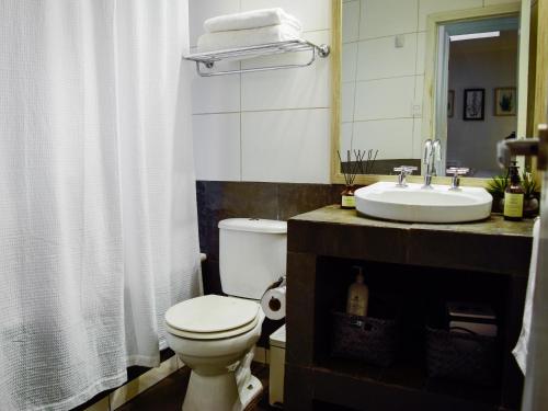 a bathroom with a toilet and a sink at Refugio en Camino a Farellones in Lo Barnechea