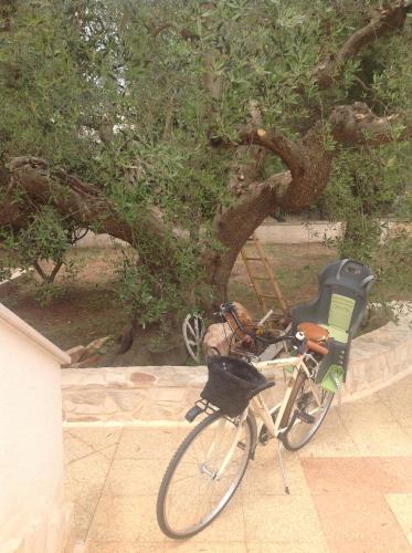 a bike parked in front of a tree at B&B Villa Nonna Maria in Castellana Grotte
