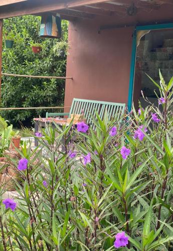 a garden with purple flowers in front of a house at Tiny House Marencalma in Santa Clara del Mar