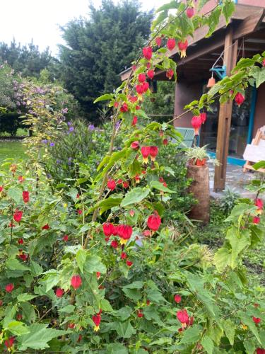 a garden with red roses in front of a house at Tiny House Marencalma in Santa Clara del Mar