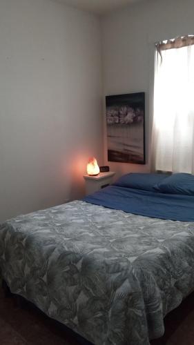 a bedroom with a bed and a window with a lamp at Tania's guest rooms in Calgary
