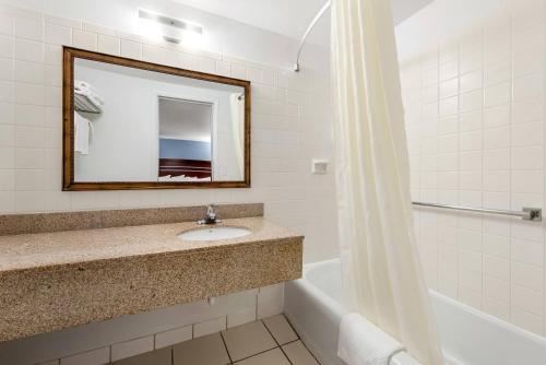 a bathroom with a sink and a tub and a mirror at Econo Lodge Palmyra - Hershey in Palmyra