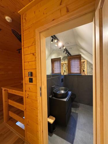 a bathroom with a sink and a mirror at Przystanek Beskidy in Brenna