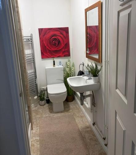 a bathroom with a white toilet and a sink at Sansome House in Worcester