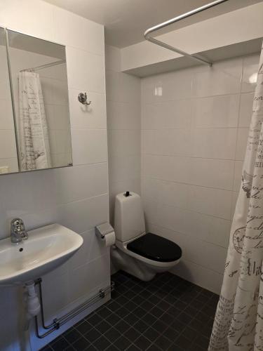 a bathroom with a toilet and a sink and a mirror at Small cozy basement apartment in Sundsvall