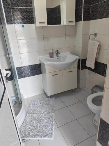 a bathroom with a sink and a toilet at Apartments Stevanovic in Bar