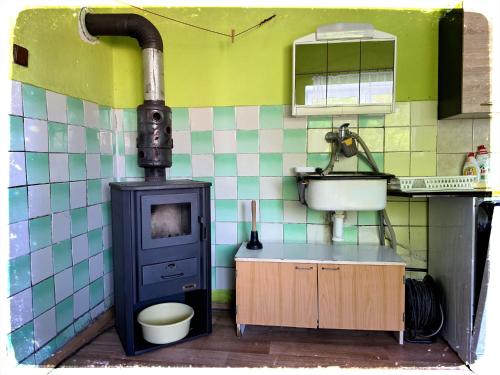 a small kitchen with a stove and a sink at Chalupa nad Dvorem in Slezské Pavlovice