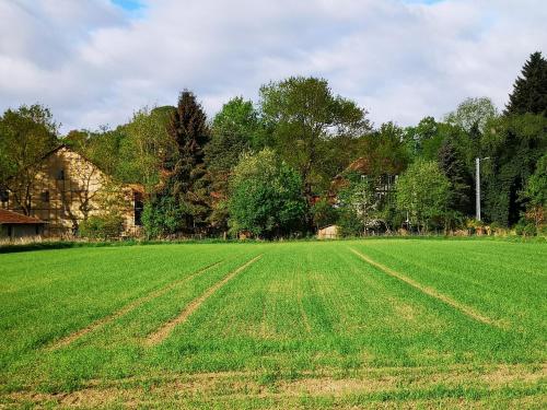 a field of green grass with a house and trees at Ferienwohnung Mühlradblick in Geismar