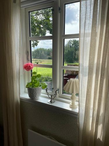 a window with a plant and a lamp on a window sill at Mysigt torp Cozy Cottage in Tranås