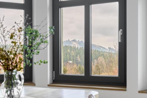 a window with a view of a mountain at Apartmány s výhledem na Plešivec by Mountain ways in Abertamy