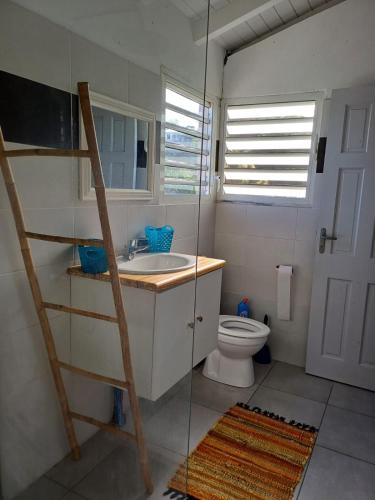 a bathroom with a toilet and a sink and a ladder at Terrasson GOLD2 in Les Abymes