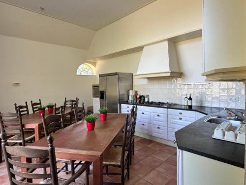 a kitchen with a long wooden table and chairs at Appartement Overcinge in Havelte