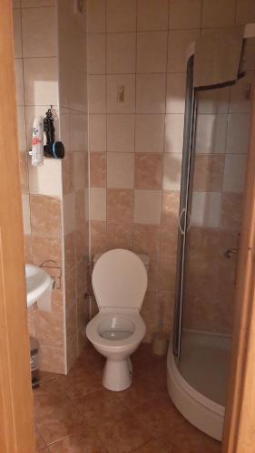 a bathroom with a toilet and a sink and a shower at Apartmán vila Vítkovice in Vítkovice