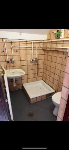 a bathroom with a tub and a sink and a toilet at Jackys hostel 9 in Sremski Karlovci