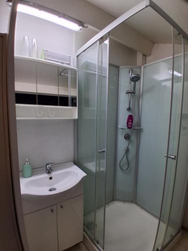 a bathroom with a shower and a sink at BoerenBuiten De Brakke 1 in Vorstenbosch