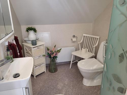 ein Badezimmer mit Toilette und Waschbecken in der Unterkunft Landet in Åby