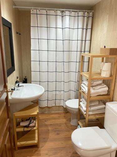 a bathroom with a sink and a toilet at Apartamento El Gorgol in Tramacastilla de Tena