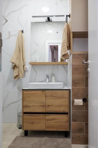 a bathroom with a sink and a mirror at Apartmani Savić expres Laktasi in Laktaši