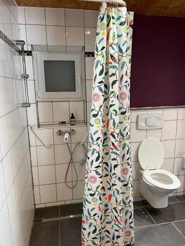a bathroom with a toilet and a shower curtain at promedklinik apartment 4 in Volkach