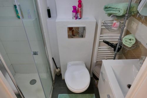a small bathroom with a toilet and a shower at Studio Danna in Menton