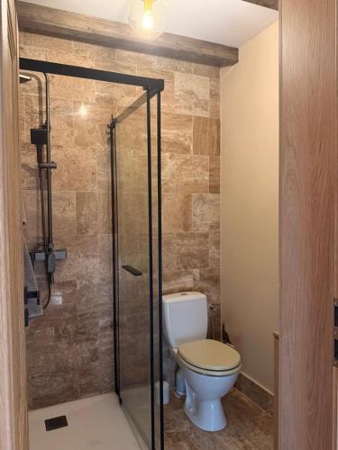 a bathroom with a toilet and a shower at SevenHeaven in Mărişel