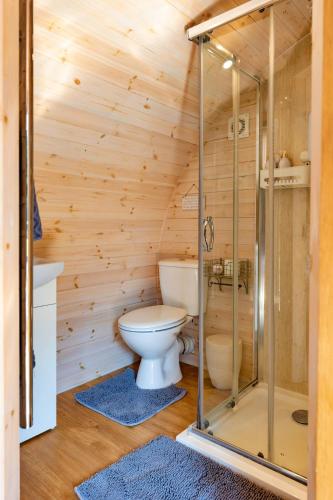 a bathroom with a toilet and a glass shower at Finest Retreats - Idris Pod in St Asaph