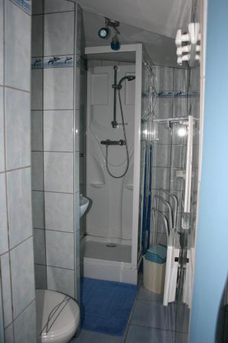 a bathroom with a shower and a toilet at La Doris gîte de mer in Saint-Pair-sur-Mer