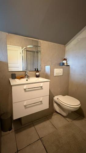 a bathroom with a white toilet and a sink at Snaefell Apartments in Hellissandur