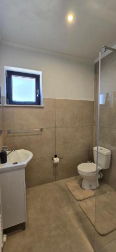 a bathroom with a toilet and a sink at Casa Chișcău - Valea Urșilor in Chişcău