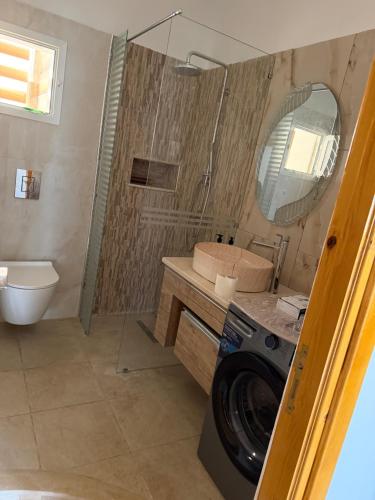 a washing machine in a bathroom with a mirror at Apparemment La Perla in Banzart
