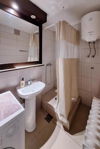 a bathroom with a sink and a toilet and a shower at Apartman Pasic in Sarajevo
