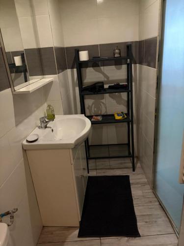 a small bathroom with a sink and a shelf at T1 Meublé in Saint-Chamond